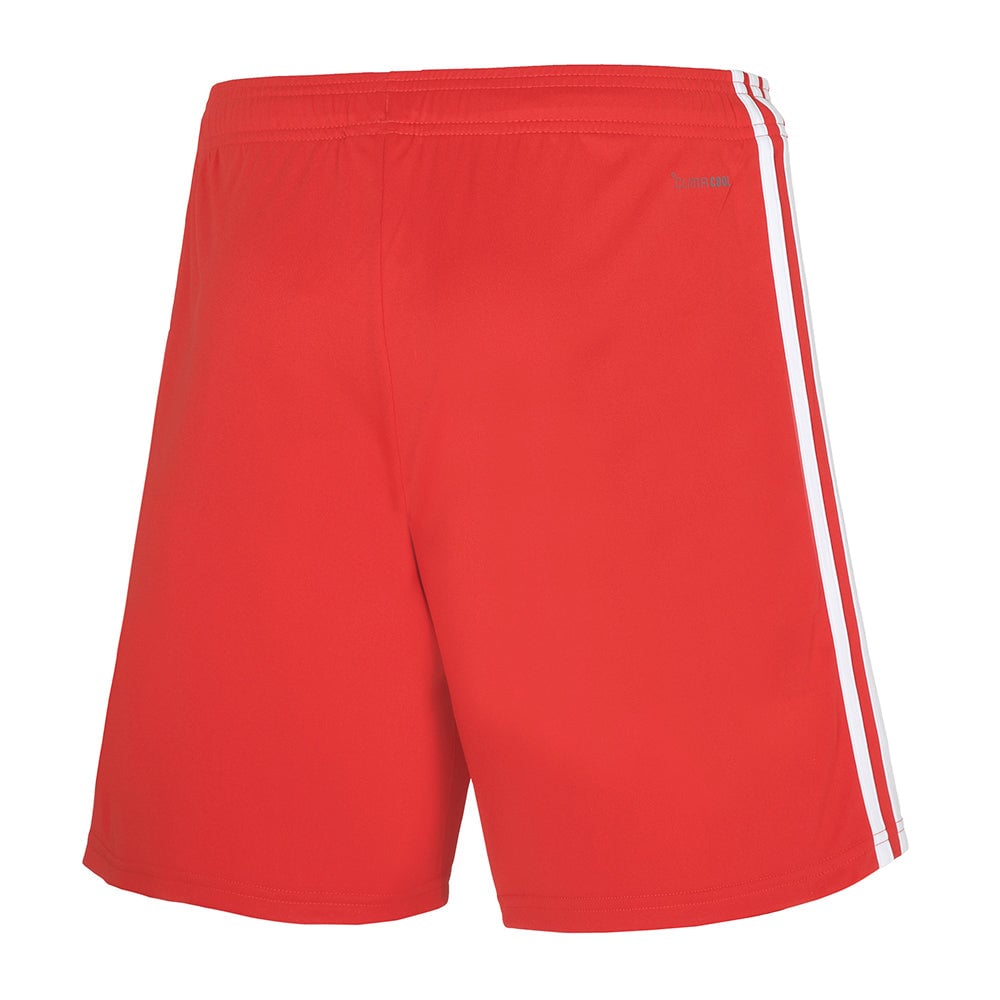 Men's Adidas 1. FC Köln Away 2026 Shorts - Image 2