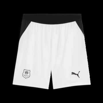 Kid's Puma Stade Rennais Standard 2026 Shorts
